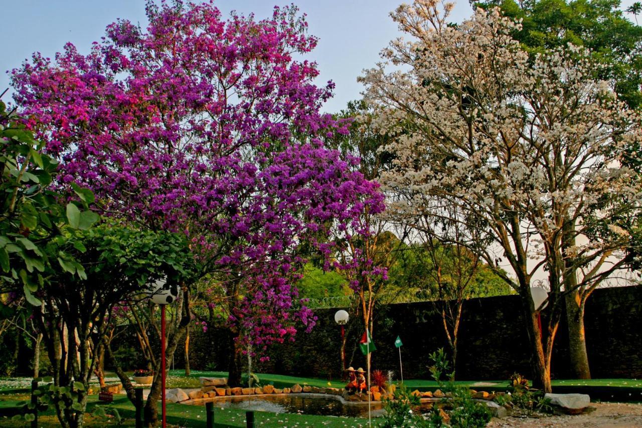 Villa Buonabitacolo São João del Rei エクステリア 写真