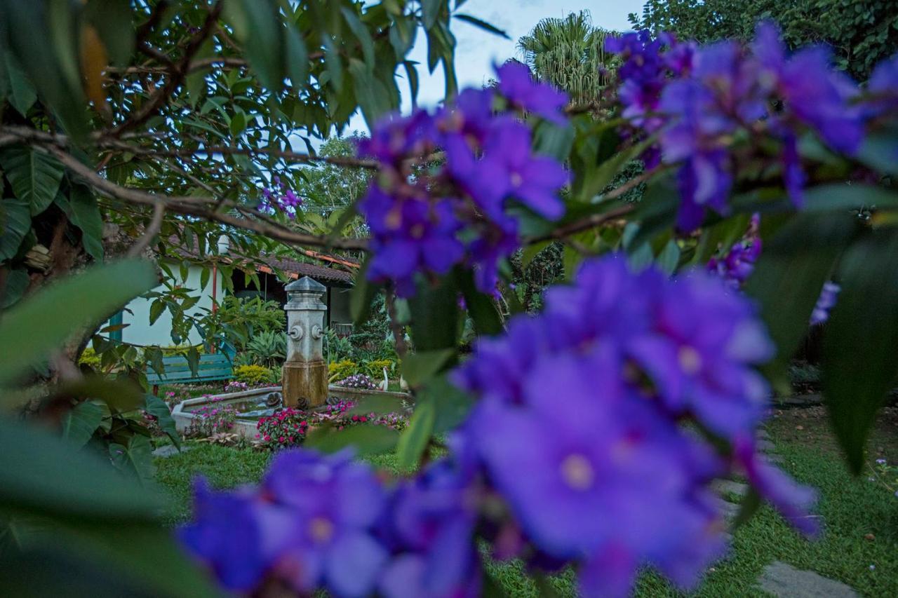 Villa Buonabitacolo São João del Rei エクステリア 写真