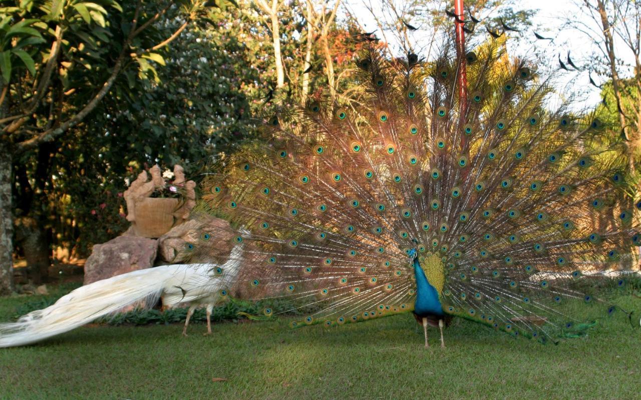 Villa Buonabitacolo São João del Rei エクステリア 写真