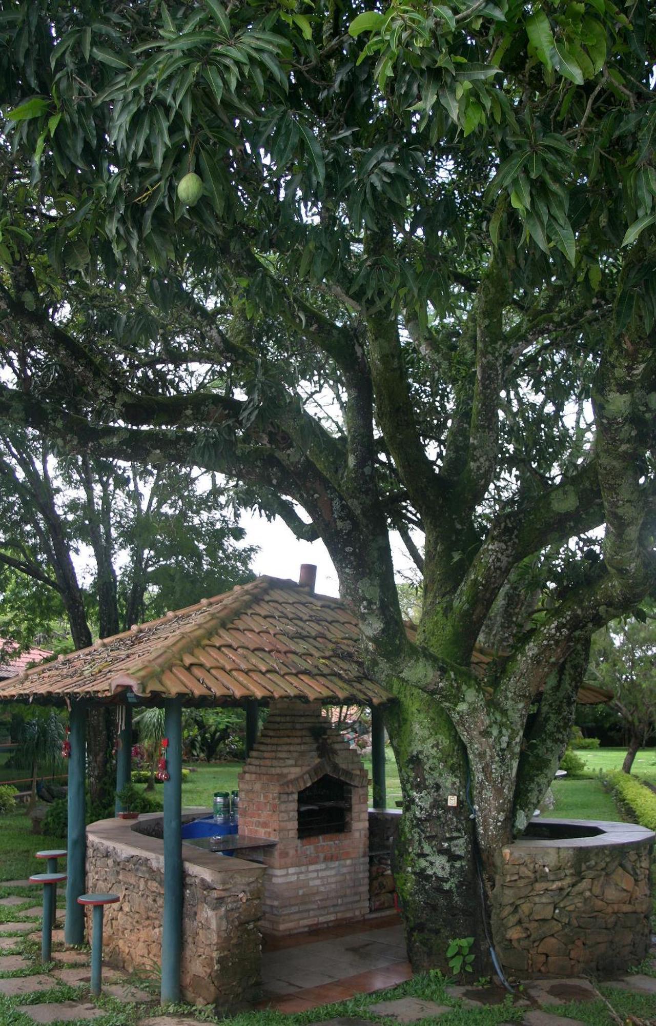 Villa Buonabitacolo São João del Rei エクステリア 写真